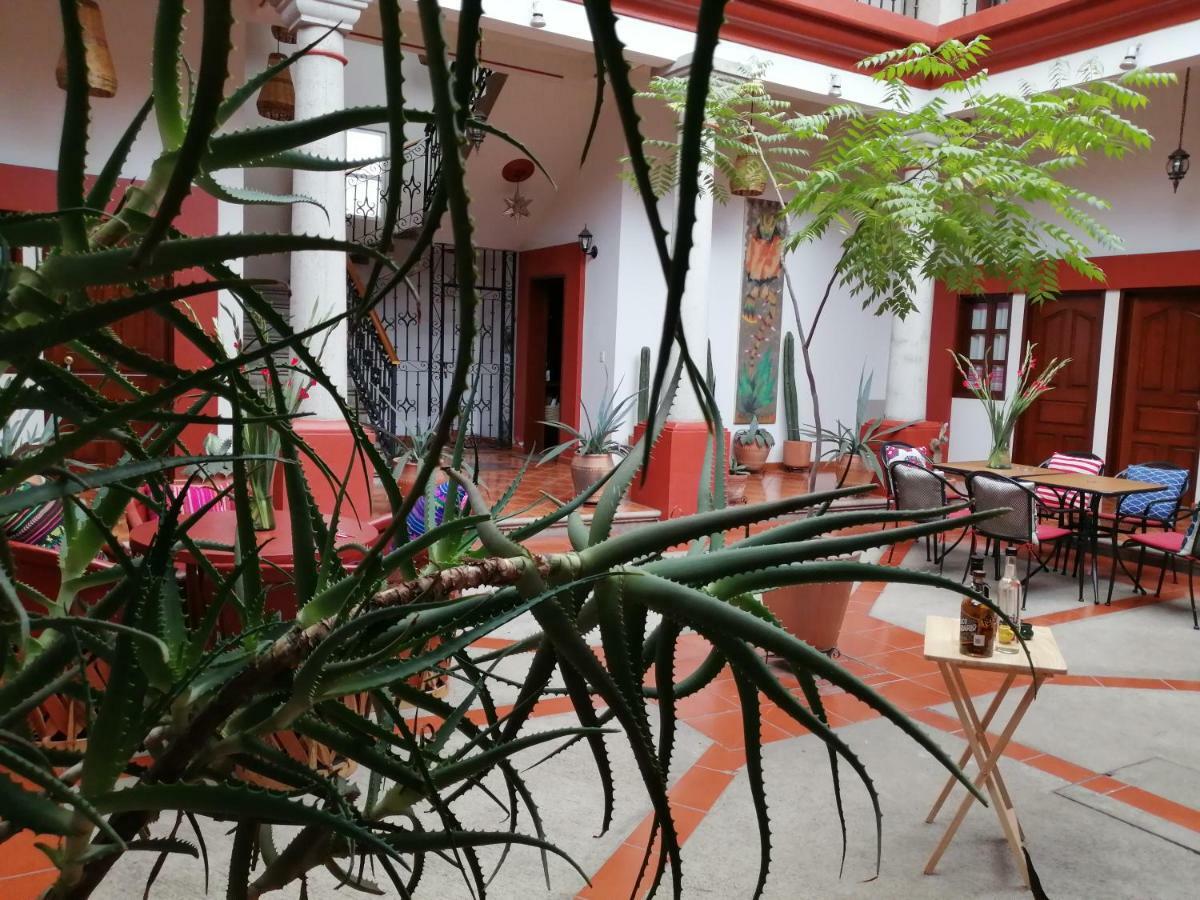 Bed and Breakfast Casa Agave Oaxaca Exteriér fotografie